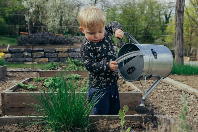 A young boy is tending his garden.