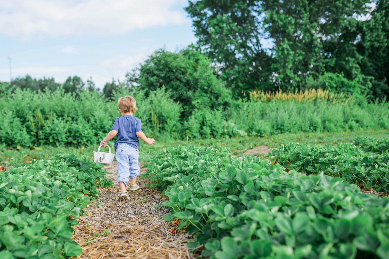 Boy in regenerative garden.