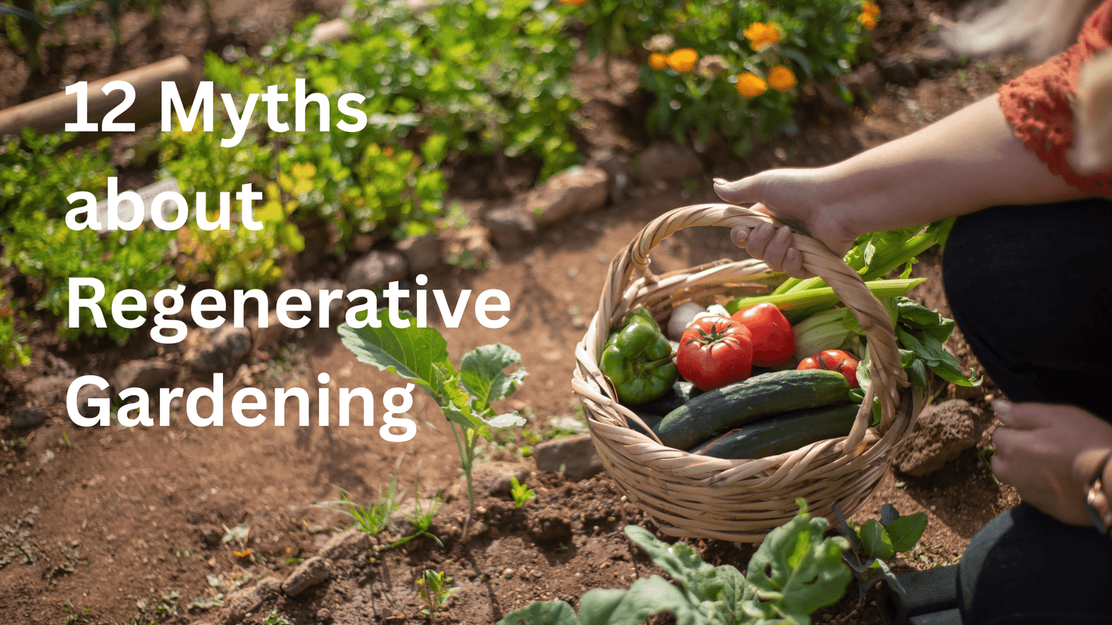 12 myths about regnerative gardening