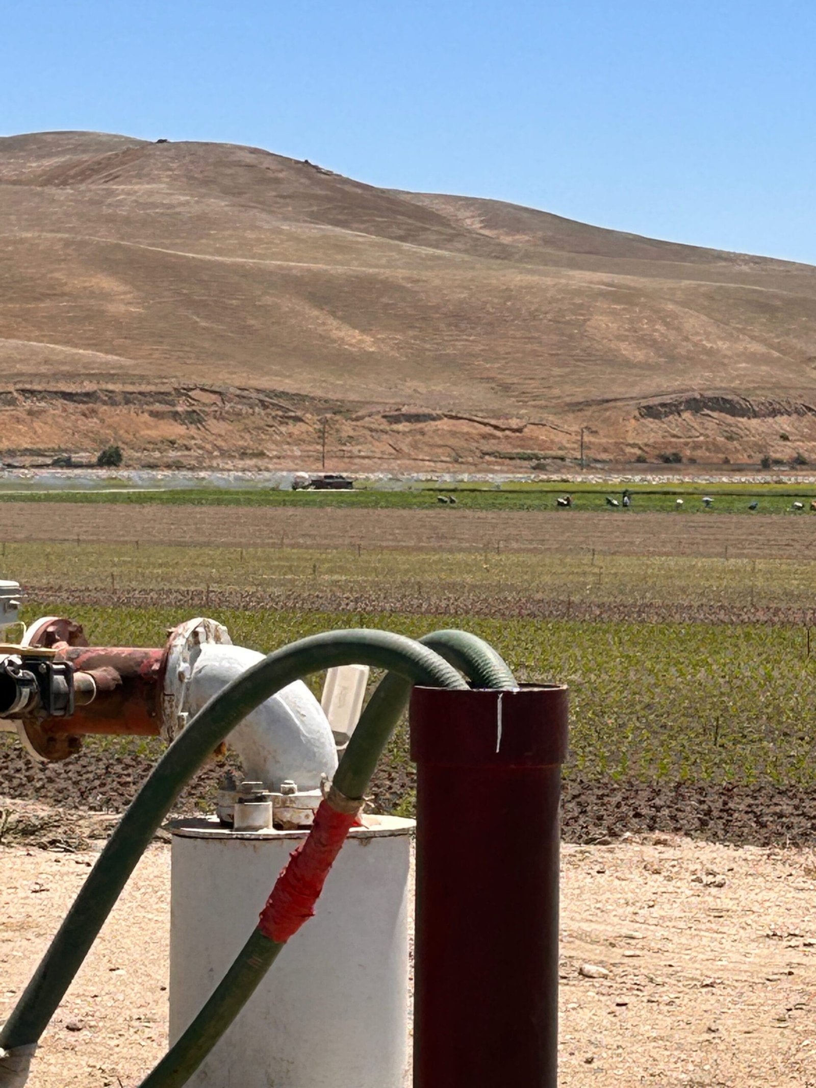 How Effective Microorganisms Improve Soil Health and Plant Growth