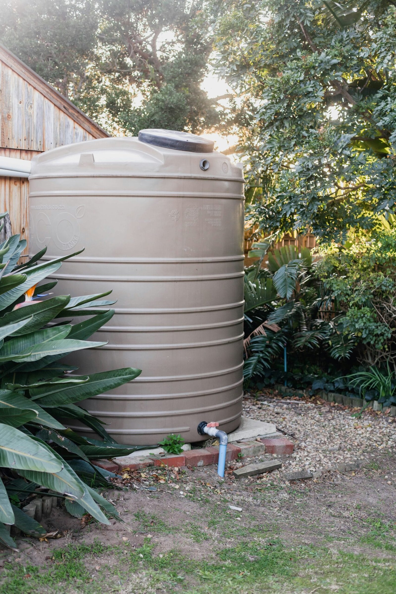 Best Rainwater Harvesting Systems for 2025