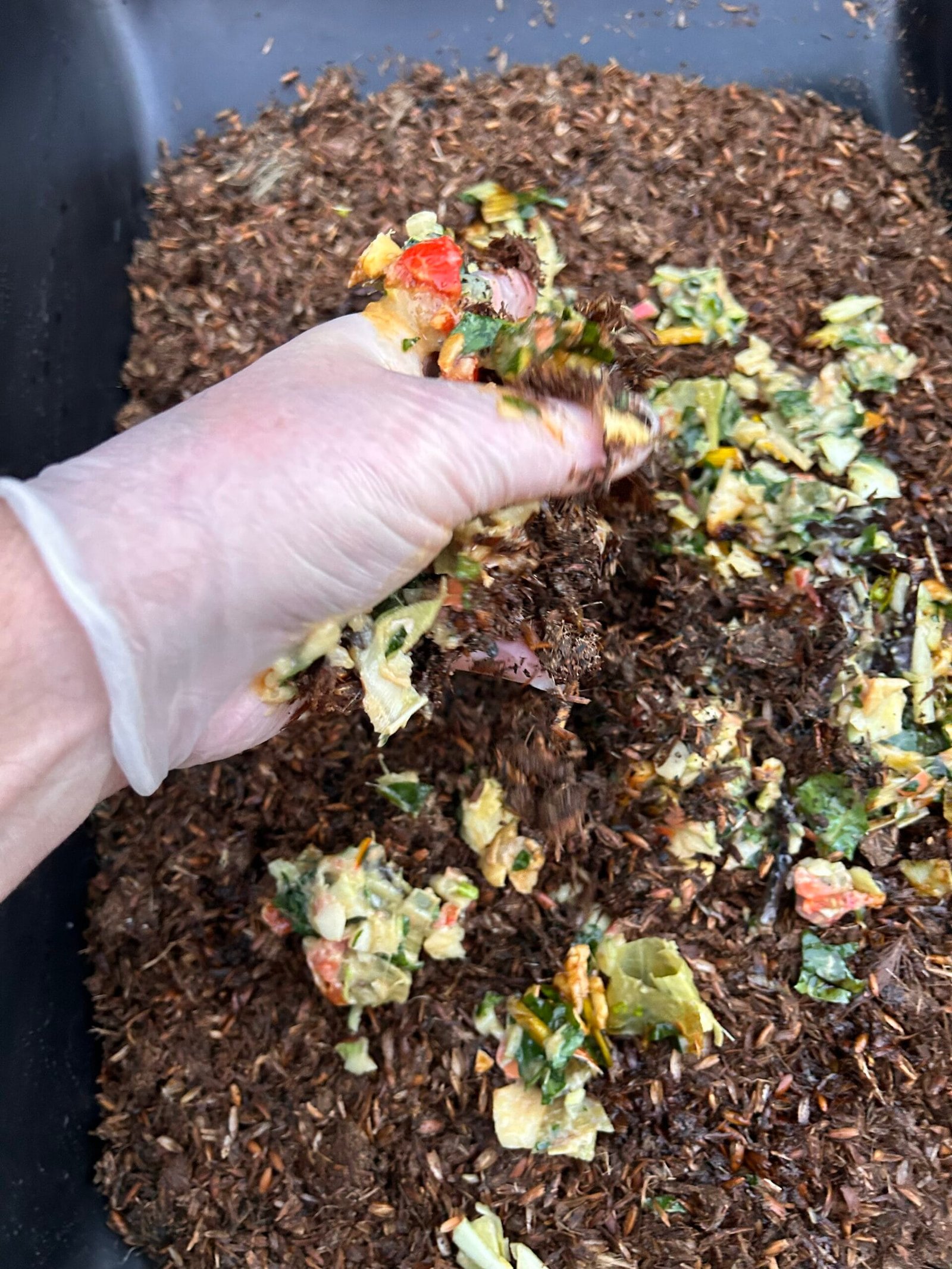 Recycling Food Scraps With Bokashi Indoors