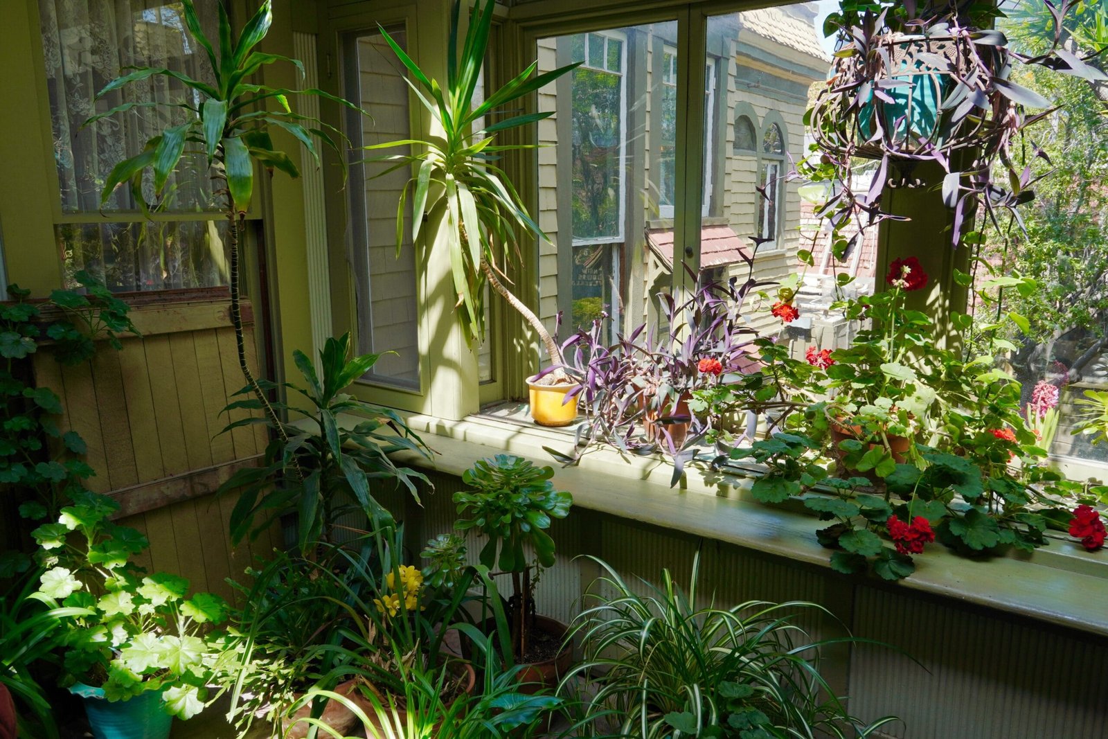 How to Set Up a Regenerative Indoor Garden